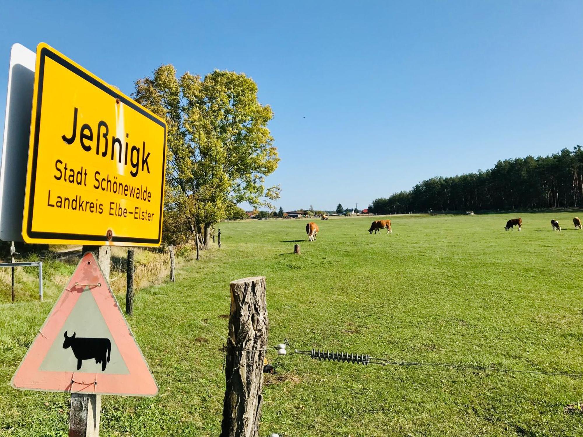 Top-Moderne Ferienwohnung Und Apartments Auf Frueherem Wunderschoenen Bauernhof Im Elbe-Elster-Kreis In Brandenburg Bei Herzberg-Elster, Schoenewalde, Holzdorf エクステリア 写真