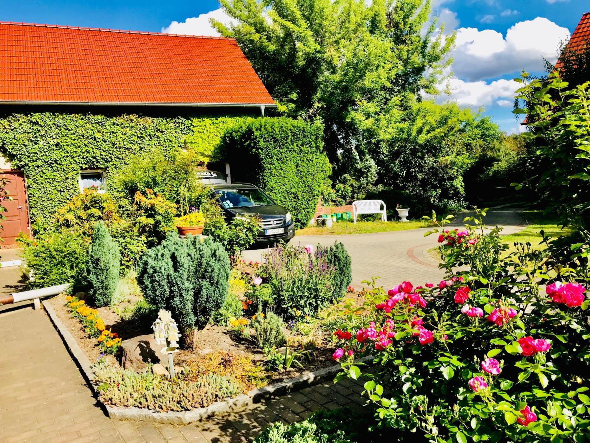 Top-Moderne Ferienwohnung Und Apartments Auf Frueherem Wunderschoenen Bauernhof Im Elbe-Elster-Kreis In Brandenburg Bei Herzberg-Elster, Schoenewalde, Holzdorf エクステリア 写真