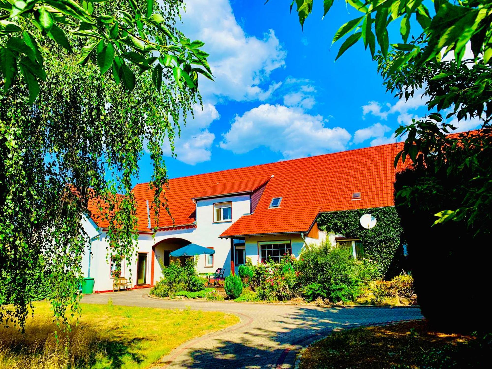 Top-Moderne Ferienwohnung Und Apartments Auf Frueherem Wunderschoenen Bauernhof Im Elbe-Elster-Kreis In Brandenburg Bei Herzberg-Elster, Schoenewalde, Holzdorf エクステリア 写真